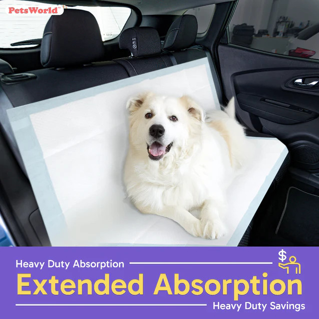 PETSWORLD Premium Extra Large Dog Pee Pads (43″ x 74″)Jumbo Puppy Training Pads