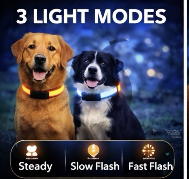 LED Dog Collar USB Rechargeable Waterproof Light Up for Night Safety