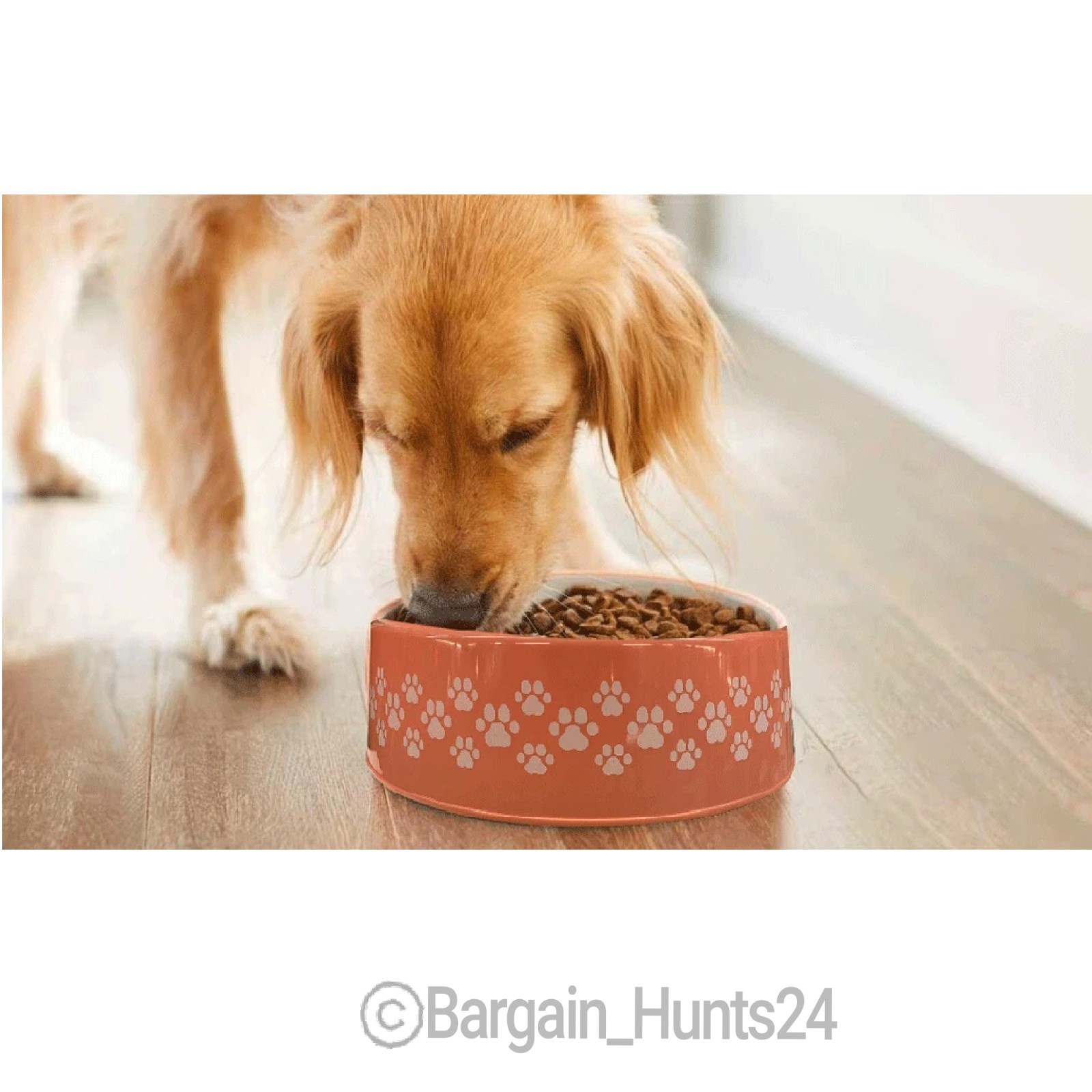 3Ct. Pet Dog Cat Food Feeding Water Dish Plastic Plate Bowl with Bones 9.75″