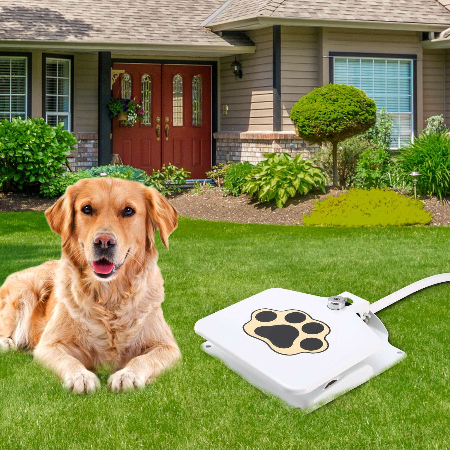 Outdoor Dog Pet Water Fountain Step-on Brass Valve Dispenser System Sprinkler