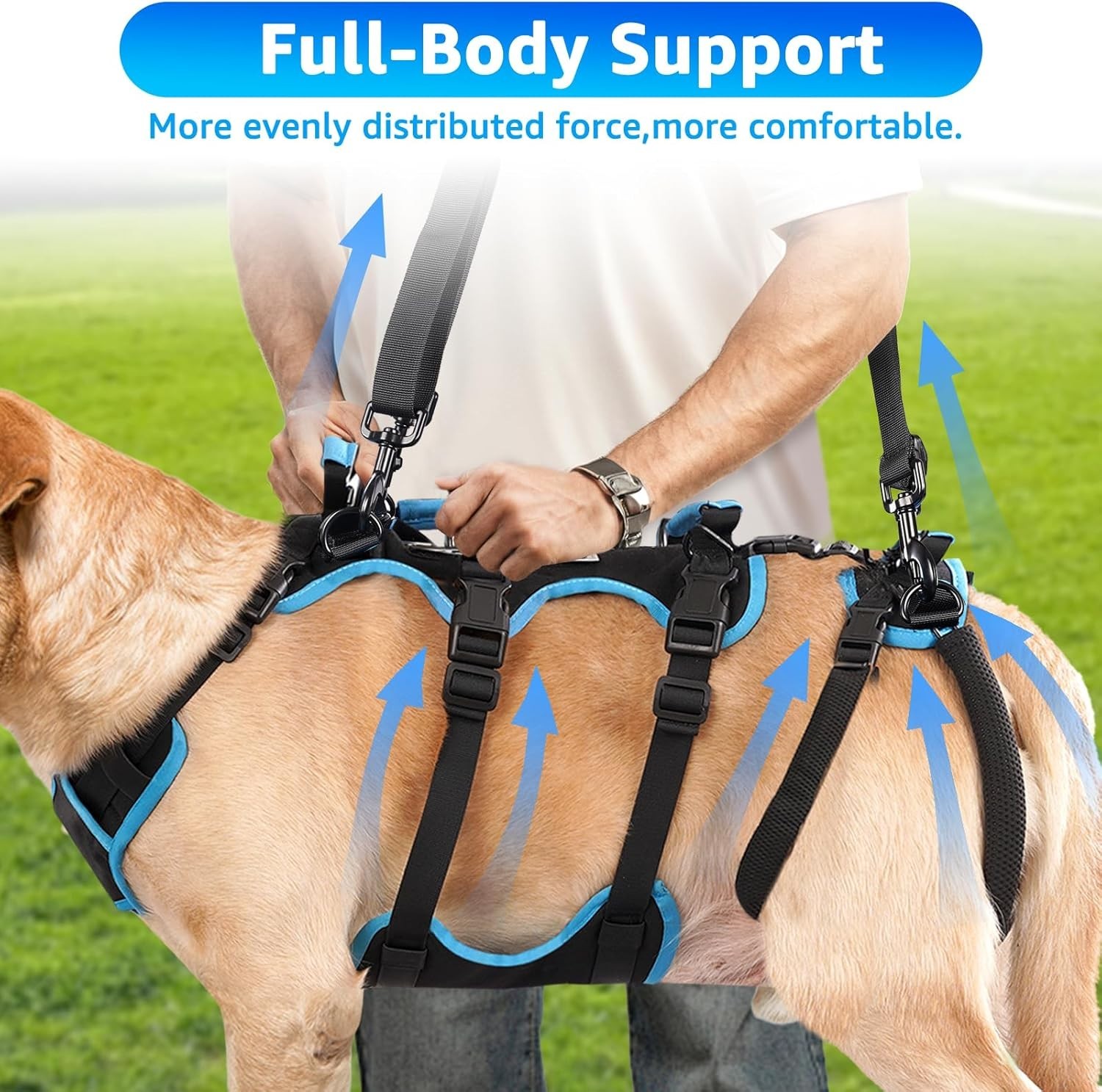Lafoty Dog Lift Harness for X-LARGE Dogs 2-in-1 Help Em Up Harness SupportAid
