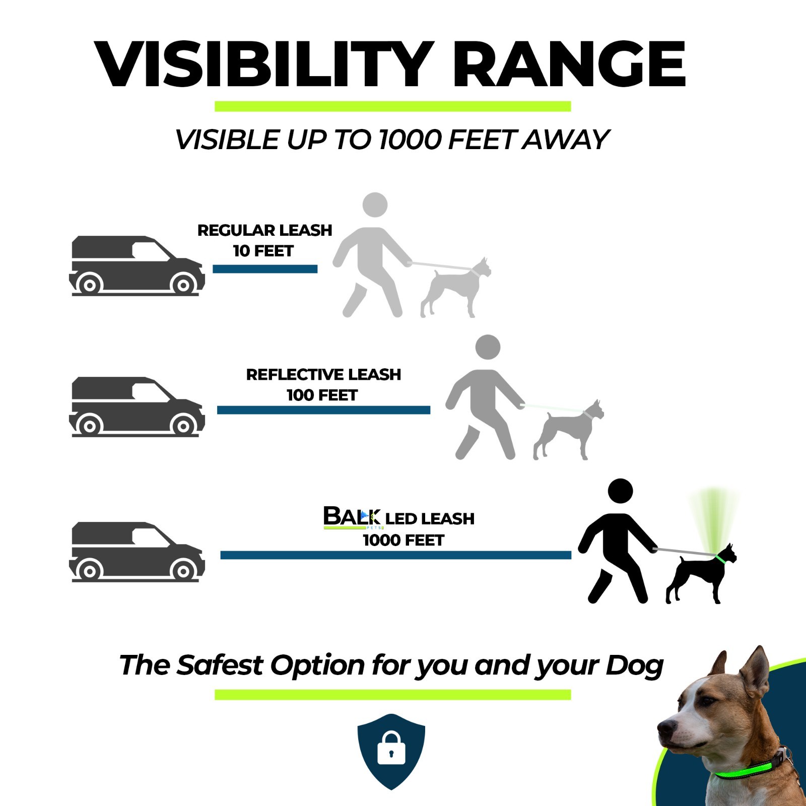 Balk Pets Led Dog Collar High Visibility Glow in The Dark Anti Car Accident Nigh
