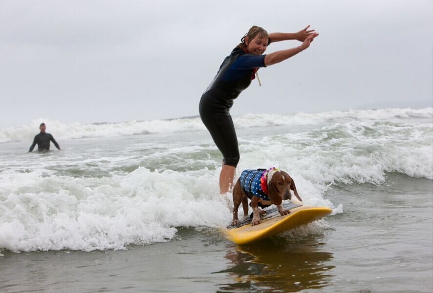 Pet Dog Life Jacket Safety Vest Pull Handle, Waterproof Flotation for Swimming