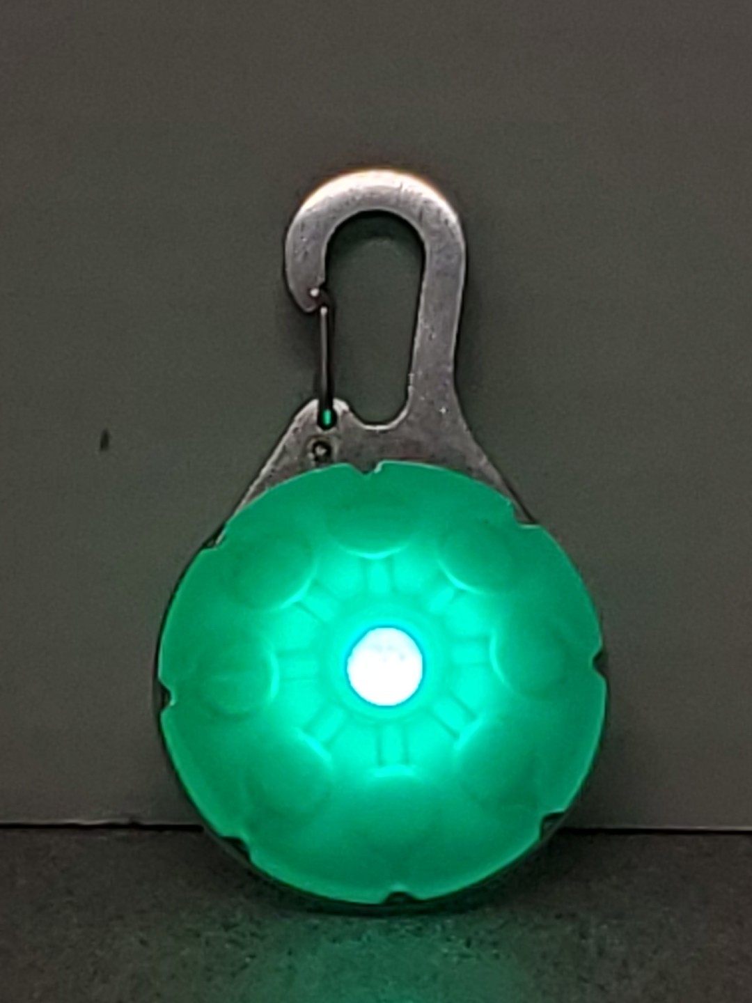 LED Dog Collar Light Clip On for Pet Safety