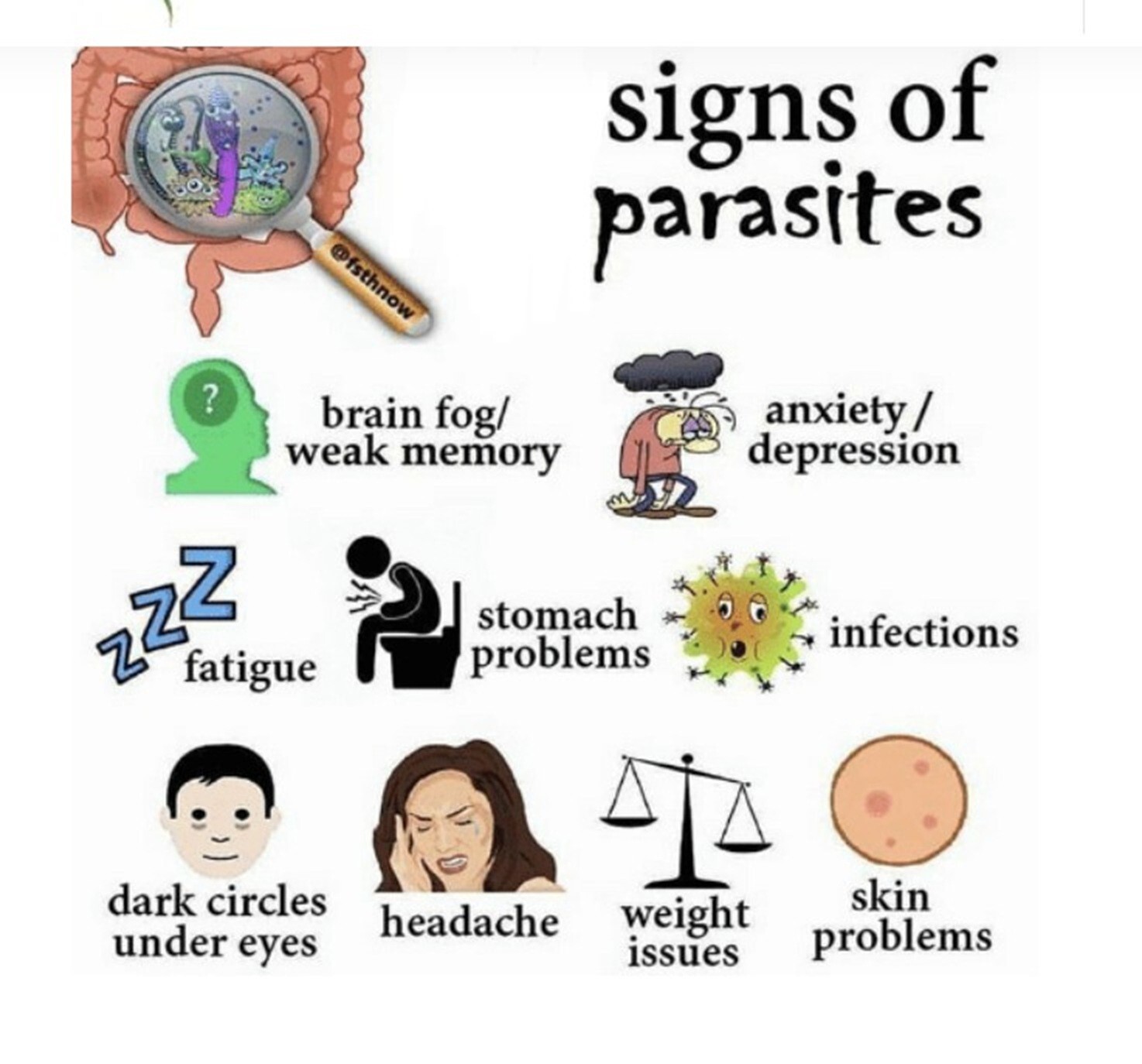 Natural herbal outbreak killer of any worms and any parasites- Made in USA