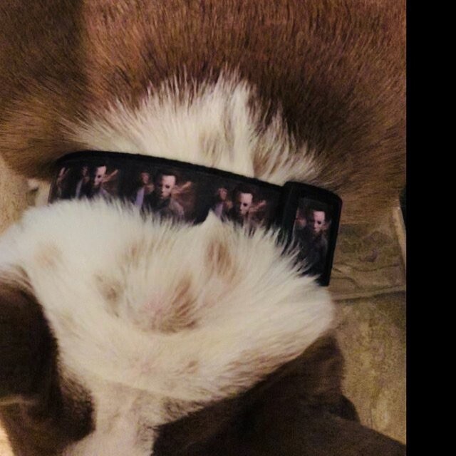 Wide dog collar upgrade handmade 1 1/4″or 1 1/2″ adjustable buckle collar leash