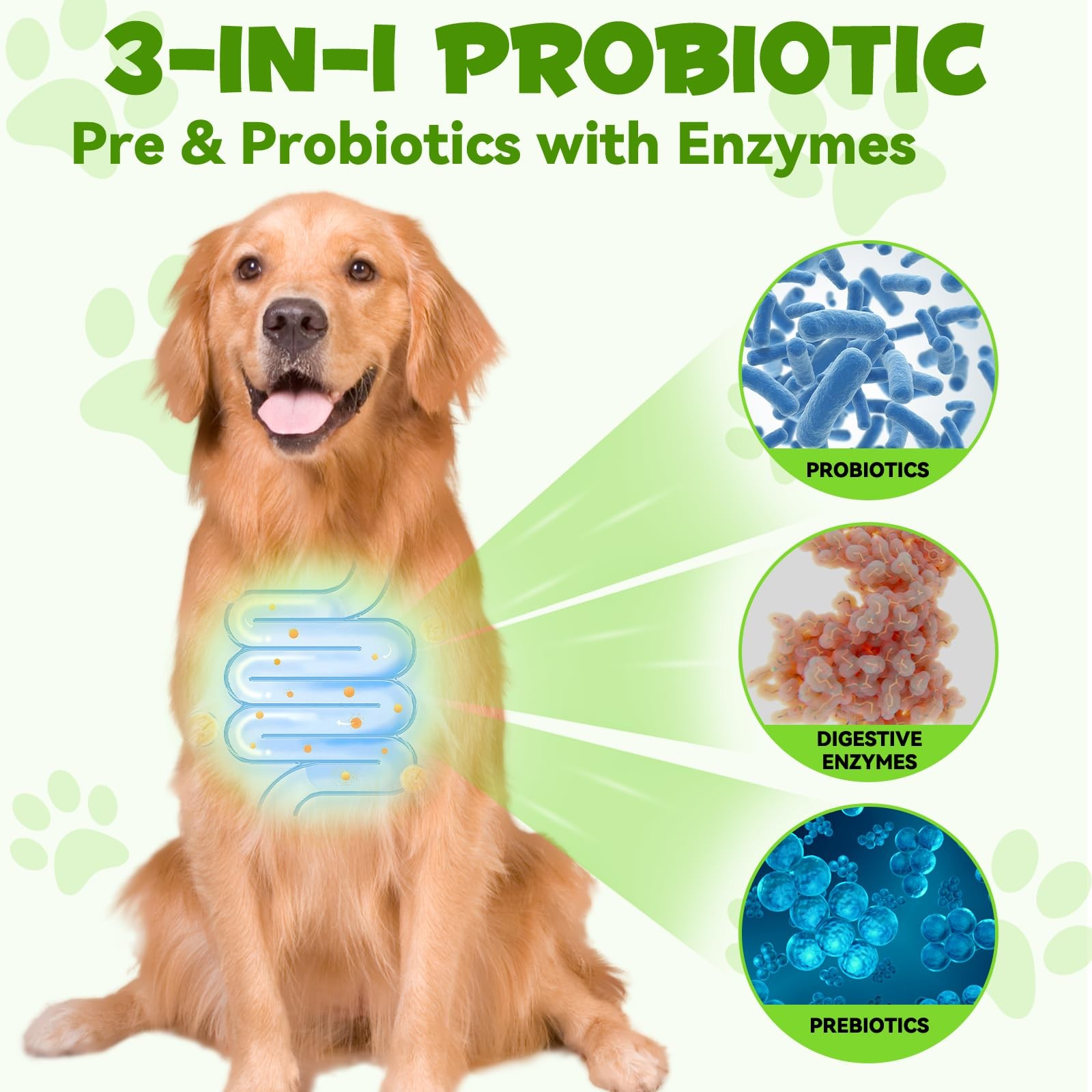 Probiotics for Dogs, 3 in 1 Dog Probiotic and Digestive Enzymes for Pet, Supp…
