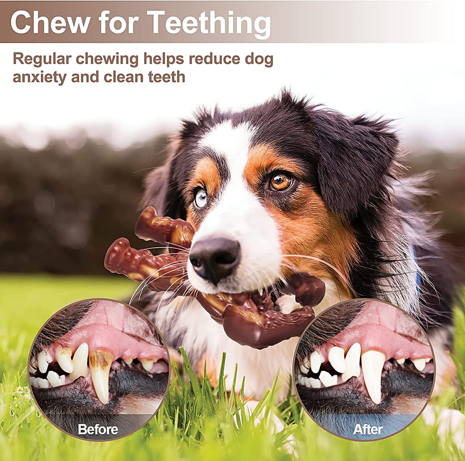 Dog Chew Toys for Aggressive Chewers Large Breed Rubber Dog Bones Teeth Cleaning