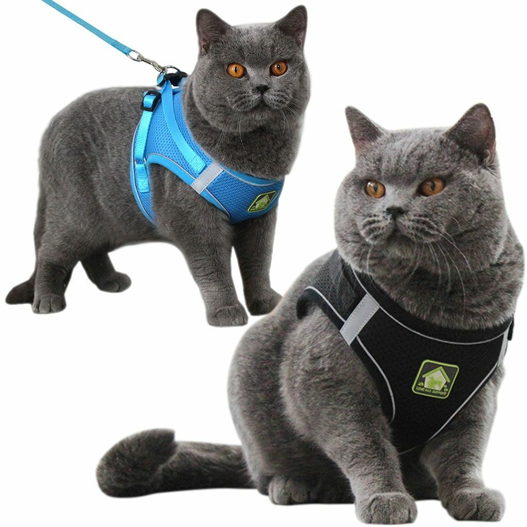 Soft Mesh Reflective Pet Harness & Leash Set Adjustable Vest for Puppy Dog Cat