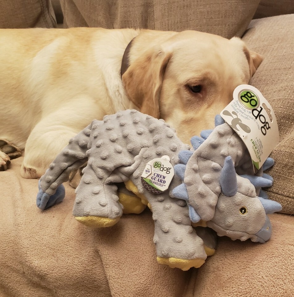 godog Dinos Triceratops with Chew Guard Technology Dog Toy, Grey, Large