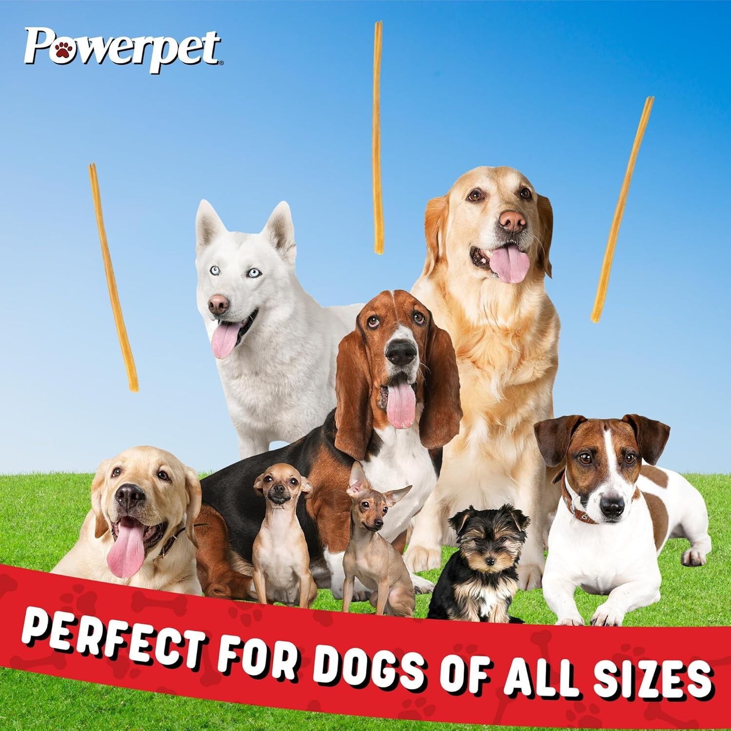 Bully Sticks 12″ 100% Natural Dog Chews & Treats, BRC Certified