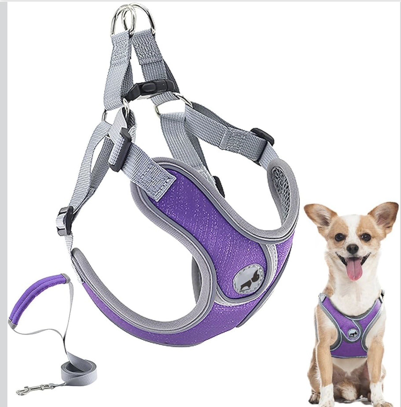 Xtra Small Purple Reflective Dog Harness With Matching 6 Ft Leash
