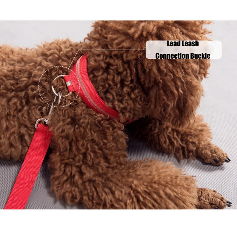 LED Dog Collar Flashing Light Up Glow Adjustable Pet Safety Collar Night USA