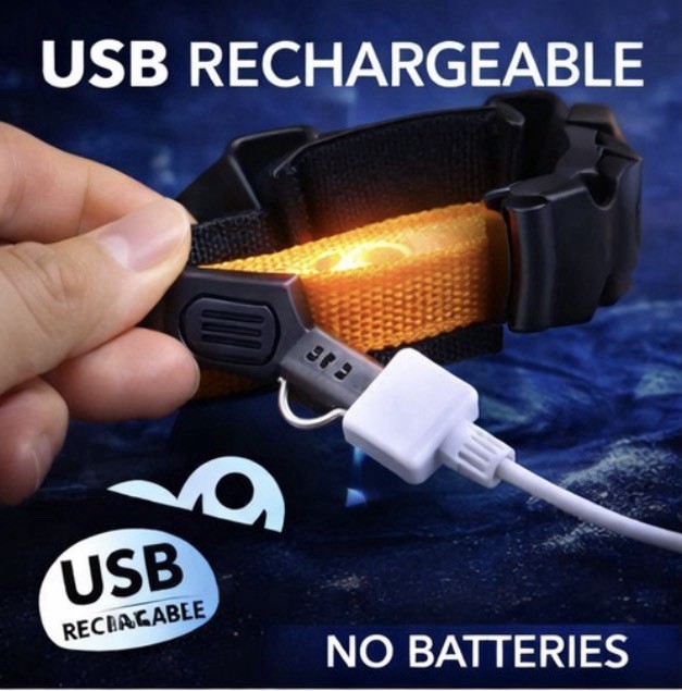 LED Dog Collar USB Rechargeable Waterproof Light Up for Night Safety