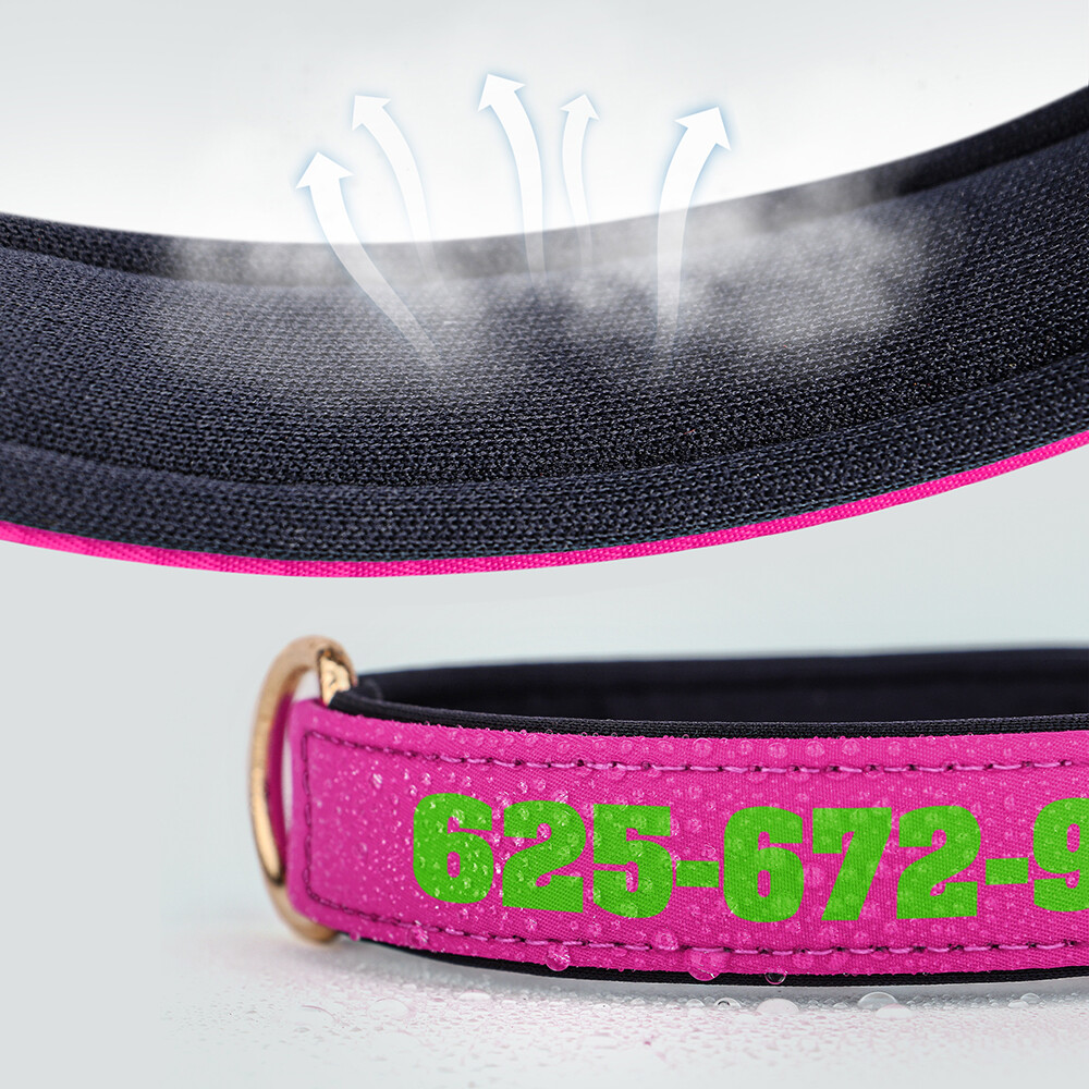 Personalized Nylon Dog Collar Custom Name Phone Print Soft Padded Adjustable S-L