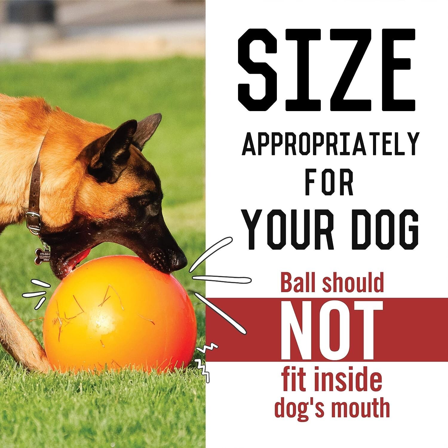 Durable USA-Made Dog Ball – Virtually Indestructible 10-Inch Outdoor Toy