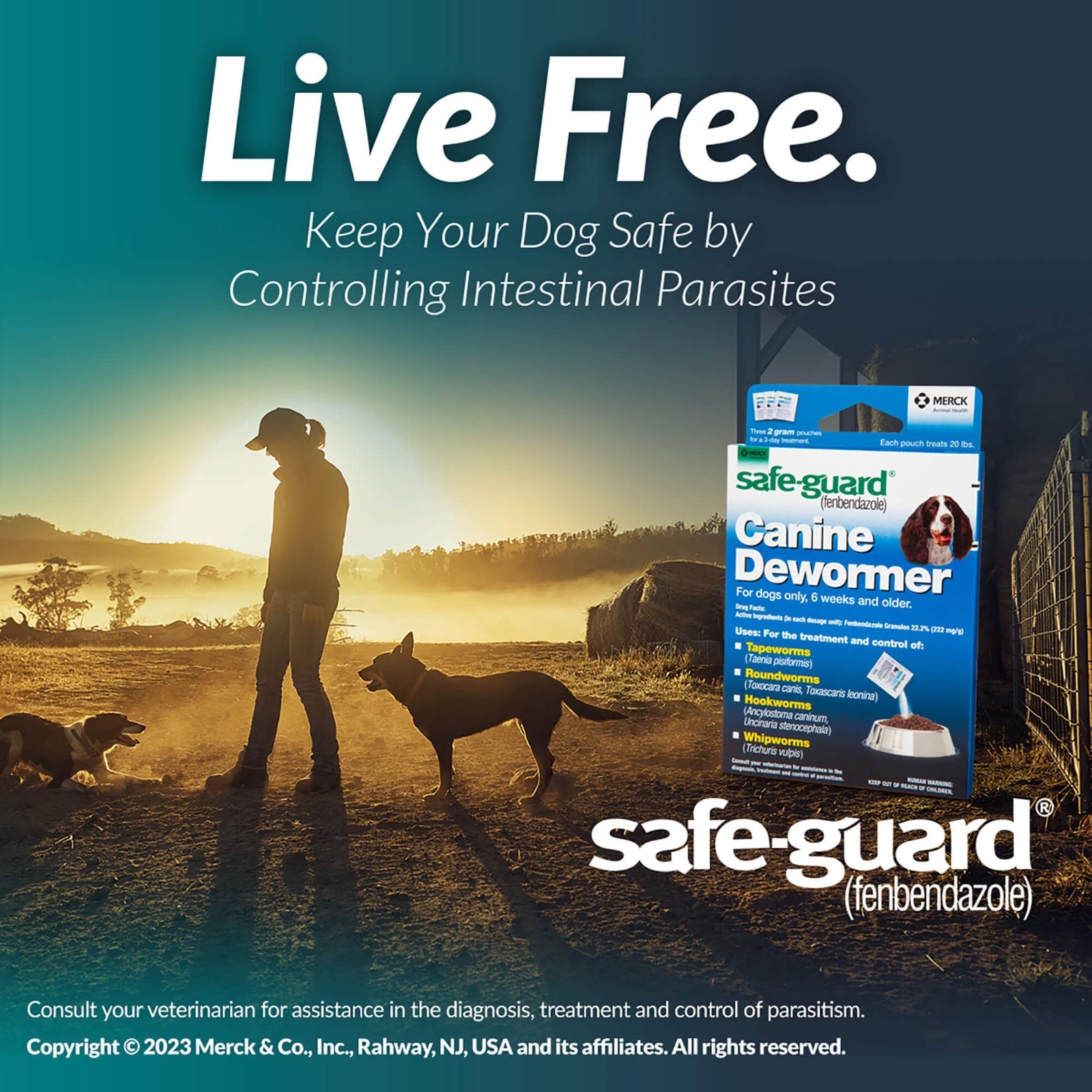 Safe-Guard Panacur Canine Dewormers K9 Dogs 40 lbs 4gm 3-Pack