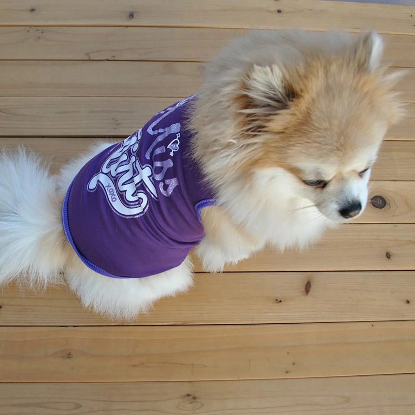 4PCS Puppy Pet Cat Small Vest TShirt Coat Dog Clothes Apparel Thin Shirt Costume