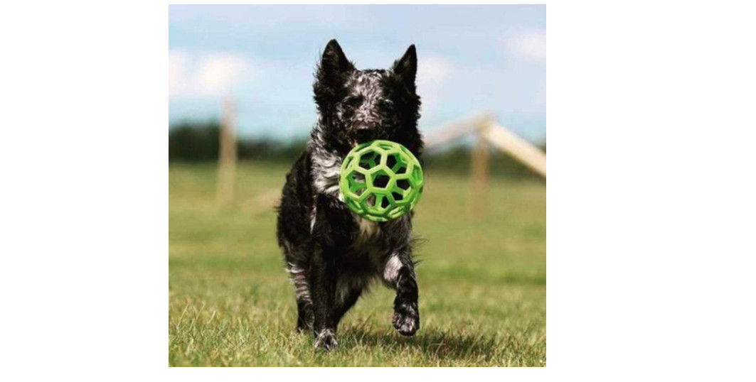 Squeaky Dog Toy Chewing Toys Small Ball Roller Rubber Dogs Chew Safe Non Toxic