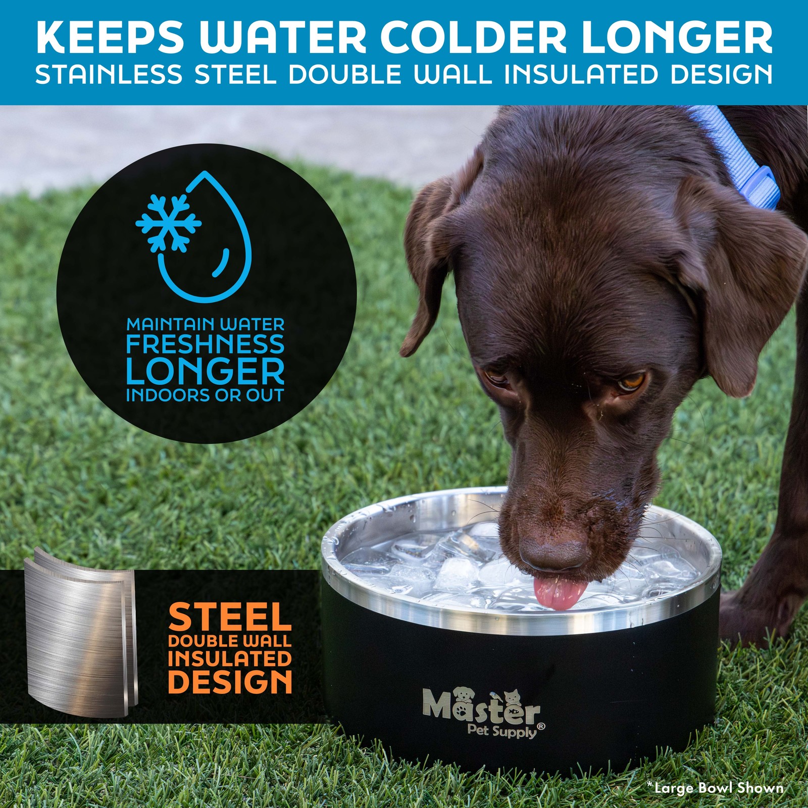 Stainless Steel Medium Double Wall Dog Bowl with Anti Skid Base – Black Velvet