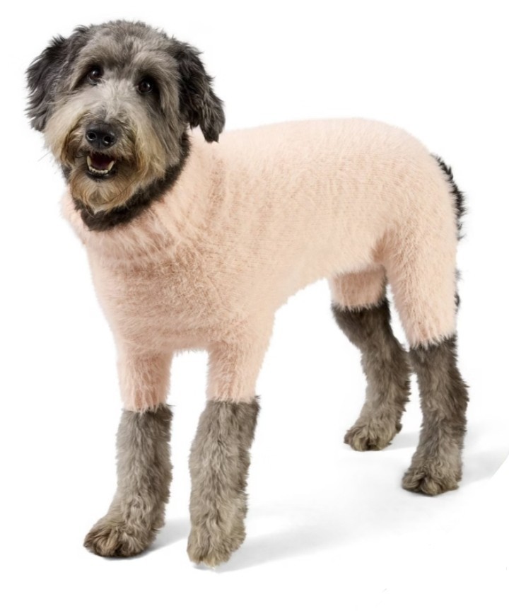 🥥 The Cuddle Collab Fuzzy Peach Dog Sweater Bodysuit Turtleneck🆕️AS SHOWN👇