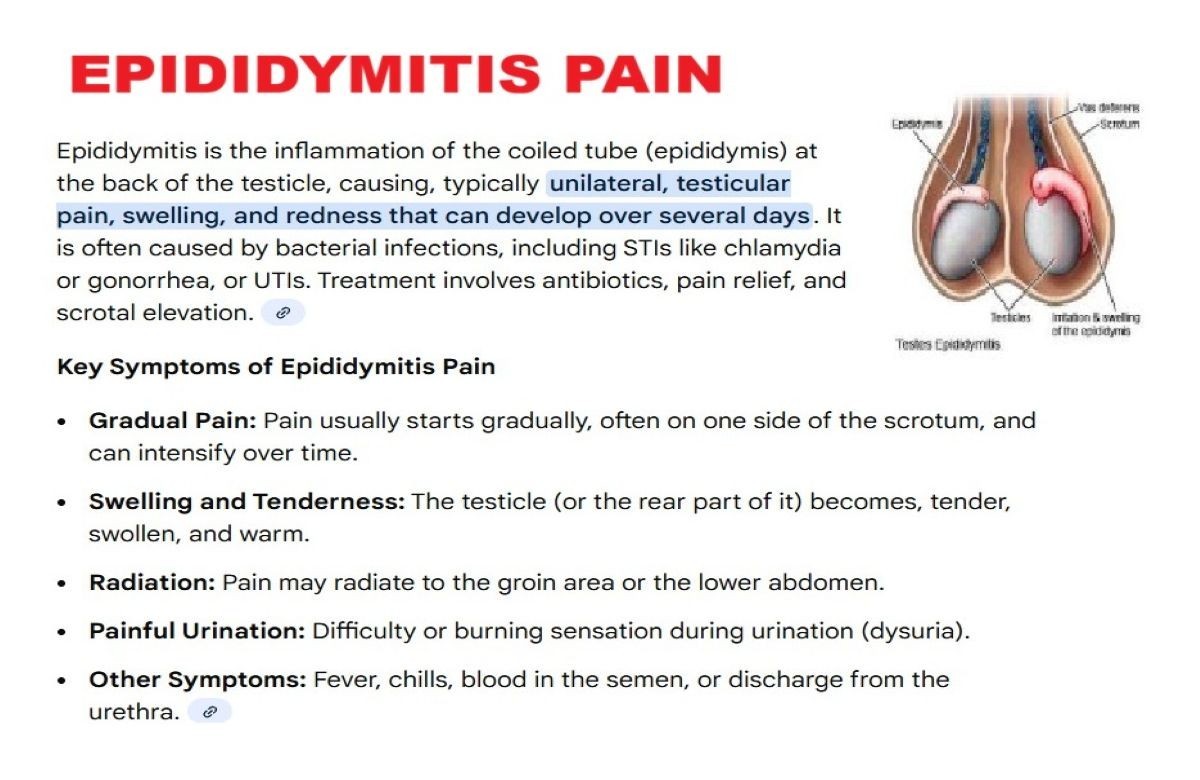 THE HERBAL WORLD FOR EPIDIDY MITIS MEN – 100% NATURAL – 120 CAPS MADE IN USA