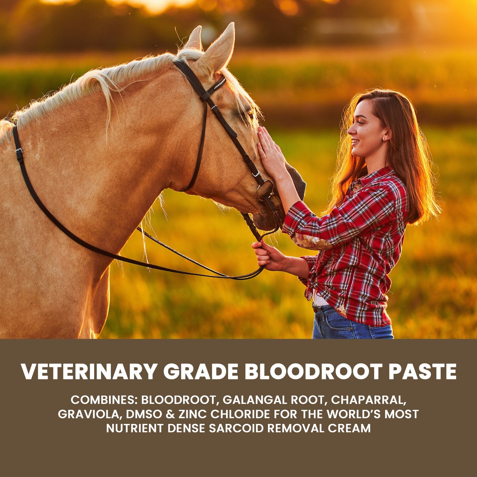 Handmade Bloodroot Paste for Equine Sarcoid-Removal | (4oz) Buy 3 Get 1 Free