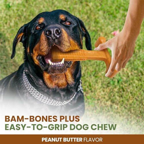 Durable Peanut Butter Dog Chew Toy for Aggressive Chewers Easy Grip Size Options