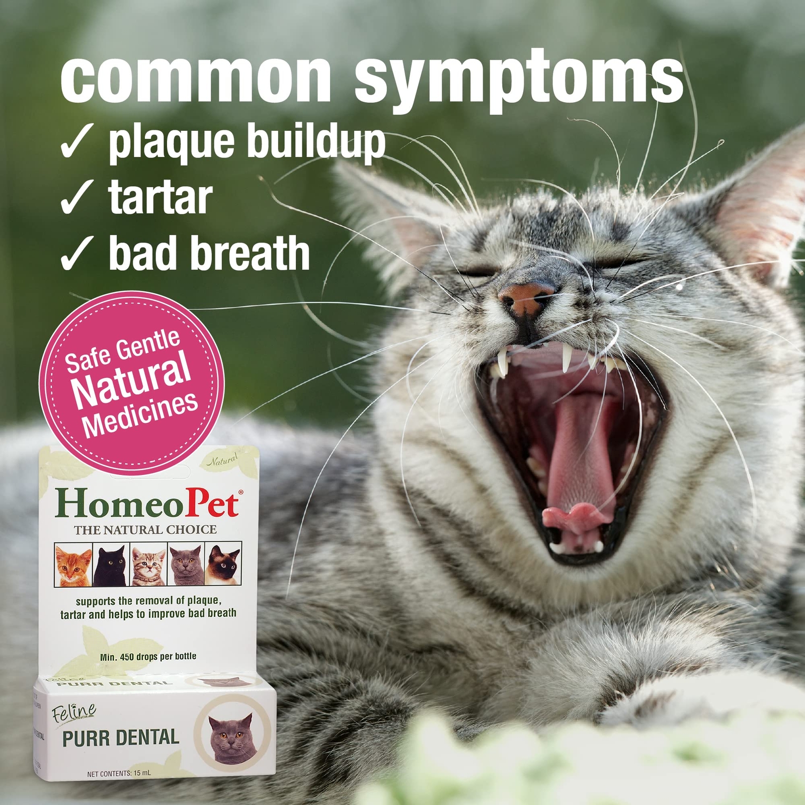 HomeoPet Feline Purr Dental Natural Cat Teeth Cleaner 15mL Safe Oral Care