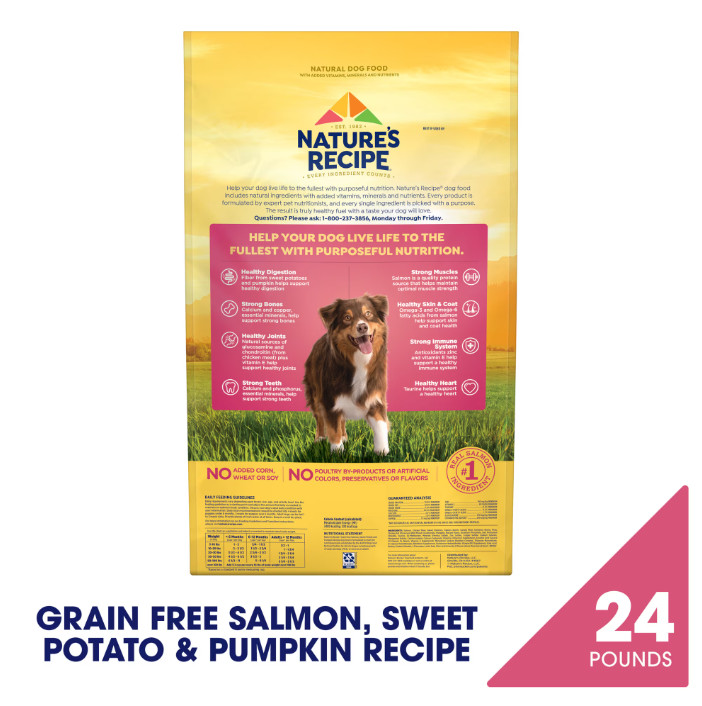 Nature’s Recipe Grain Free Salmon, Sweet Potato & Pumpkin Dry Dog Food, 24 lb Ba