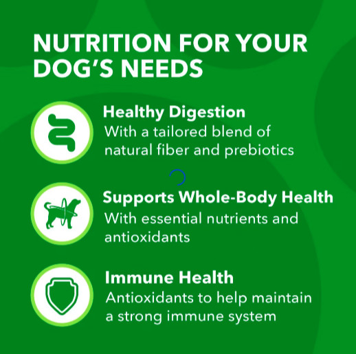 Iams Proactive Health Minichunks Real Chicken Grains Dry Dog Food, 30lb 2 PACKS