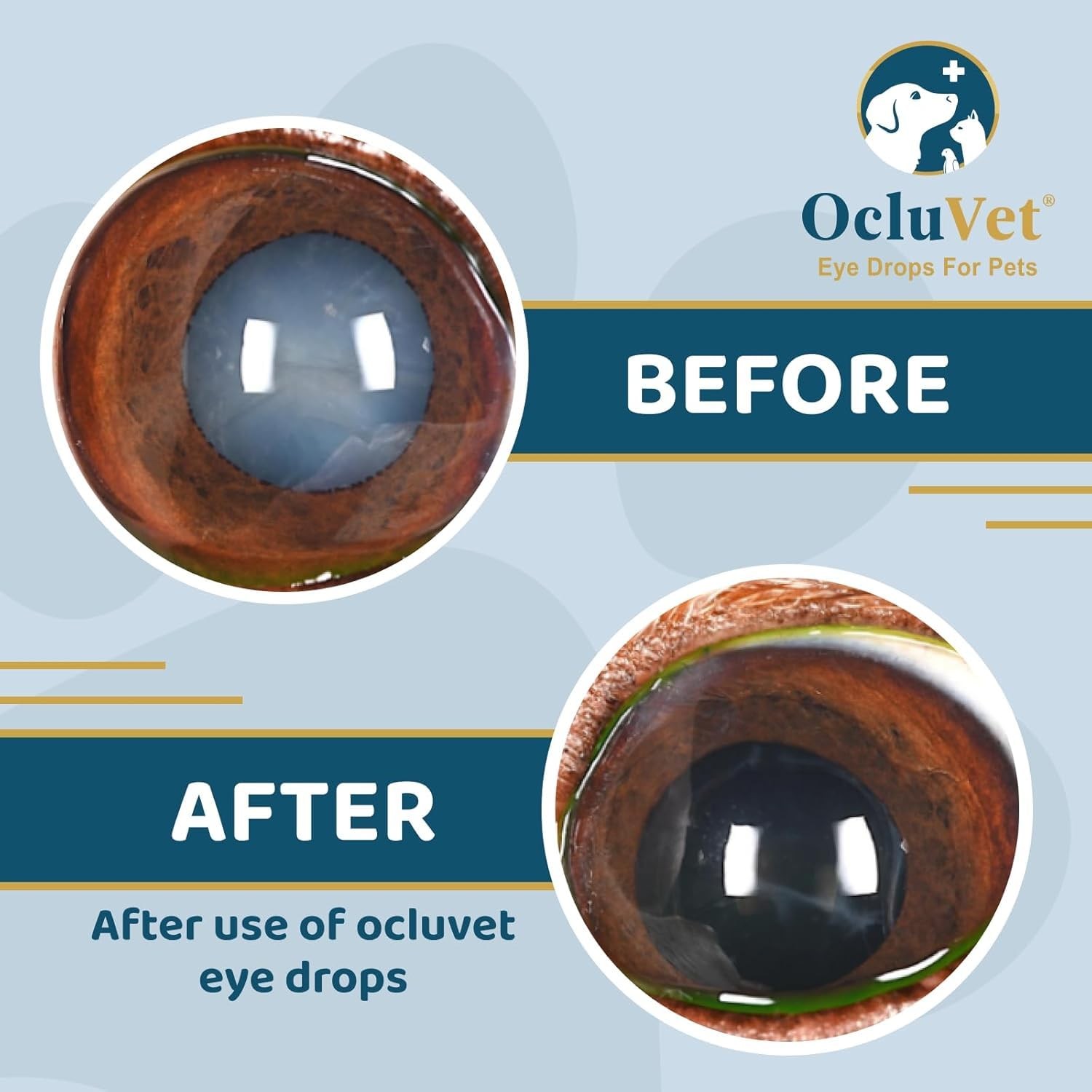 Eye Drops for Pets | Clinically Studied Antioxidants for Pets | Made in The U…