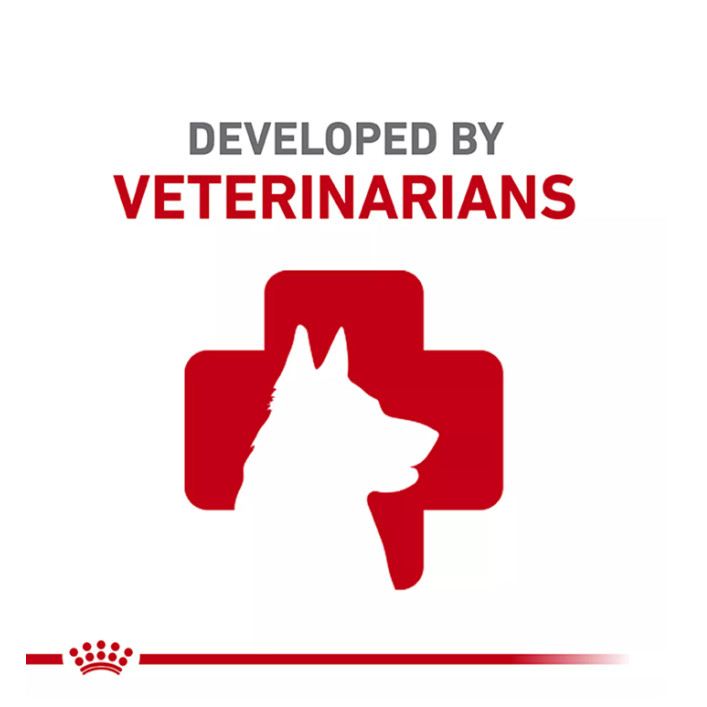 New w/ Royal Canin Shih Tzu Adult Dry Dog Food 10 lb Chicken Skin & Coat Formula