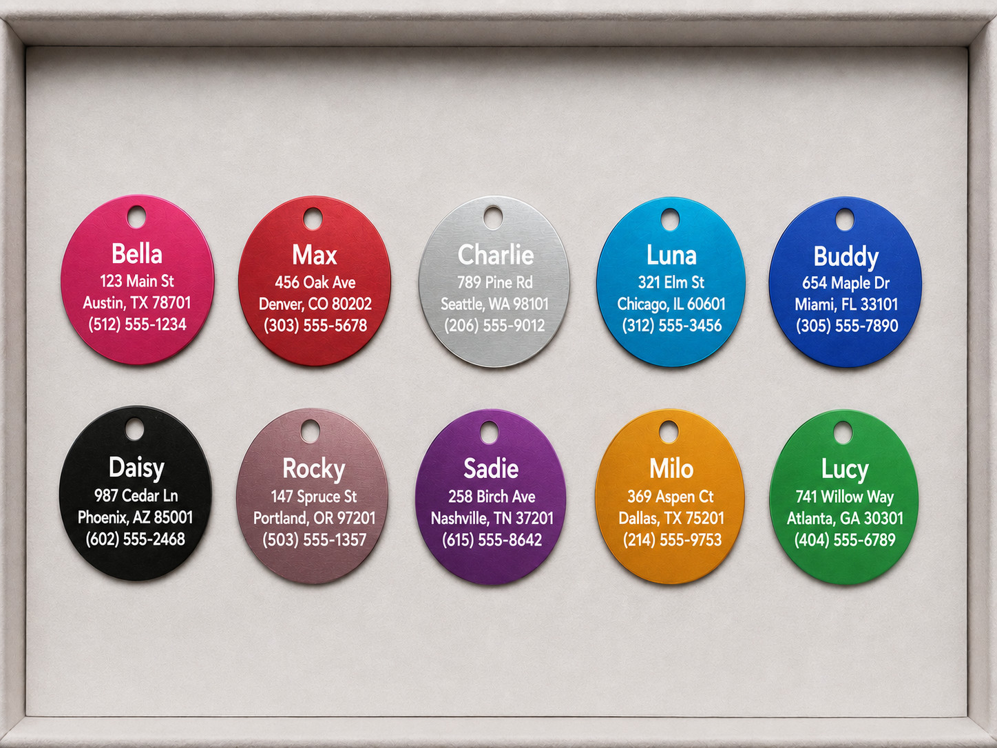Custom Laser Engraved Dog Bone Pet ID Tag Personalized Name Phone Number