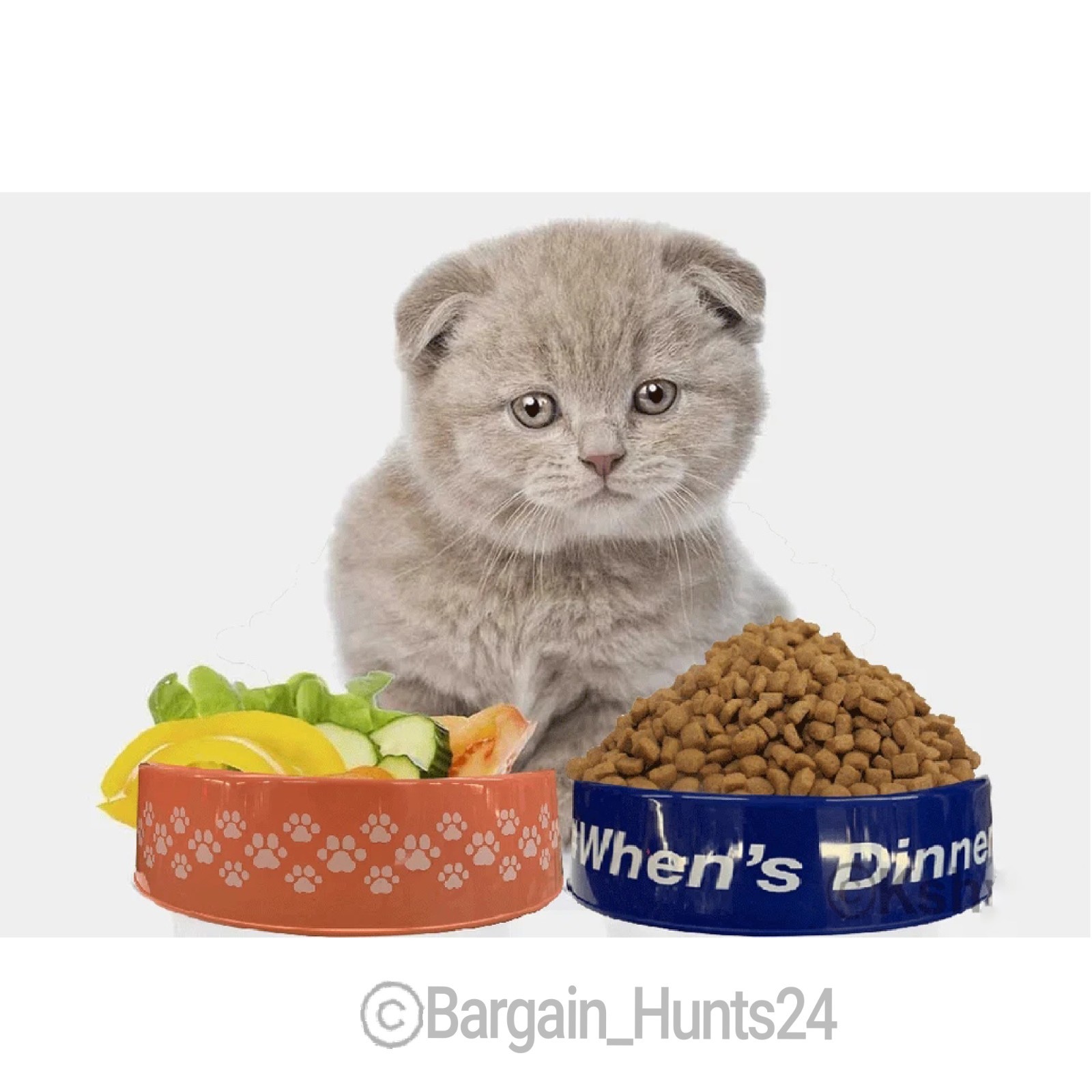 3Ct. Pet Dog Cat Food Feeding Water Dish Plastic Plate Bowl with Bones 9.75″