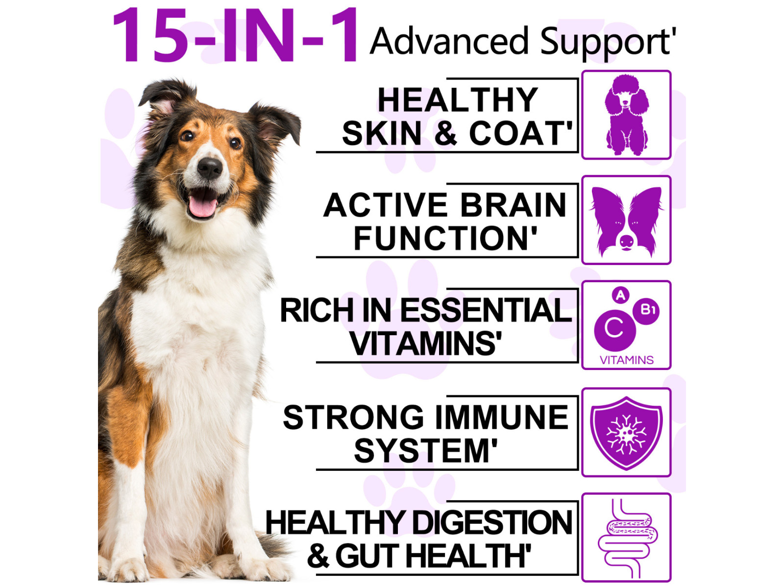 15 in 1 Dog Multivitamins and Supplements for Hip + Joint + Skin + Coat, 30CT