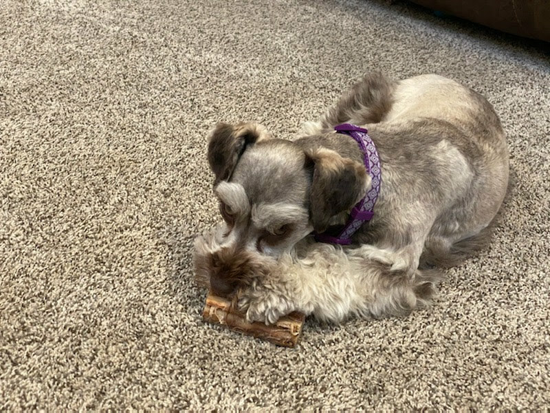 Smoked Wild Game Bones for Large Dogs – 4 Pounds