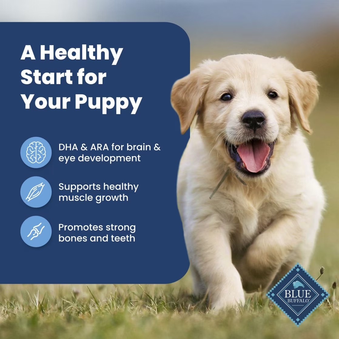 Blue Buffalo Life Protection Formula Puppy Dry Dog Food,Chicken &Brown Rice 15lb