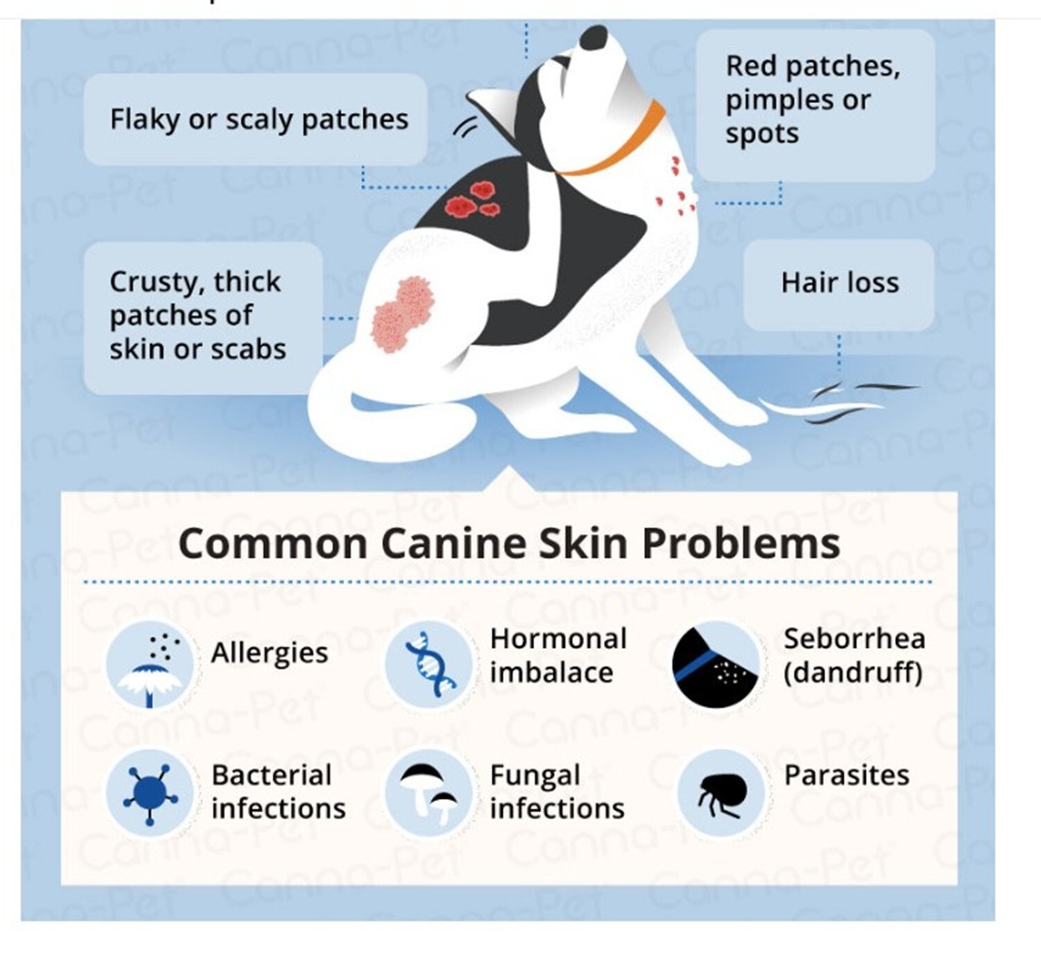 SKIN IRRITATION CREAM FOR PETS (4 Oz- Made in USA) Dogs and cats
