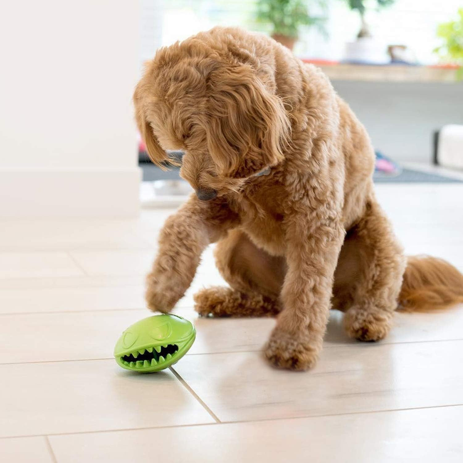 Jolly Pets Monster Mouth 4 inch Green Treat Hiding Rubber Toy for Dogs