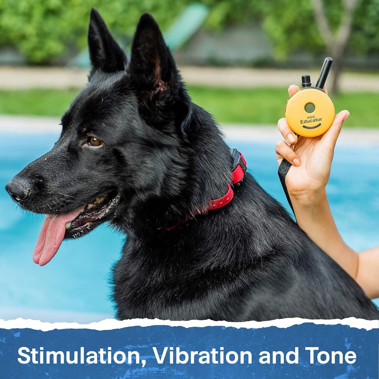 Yellow ET-300-1/2 Mile Mini Educator E-Collar – With Dog Training Clicker