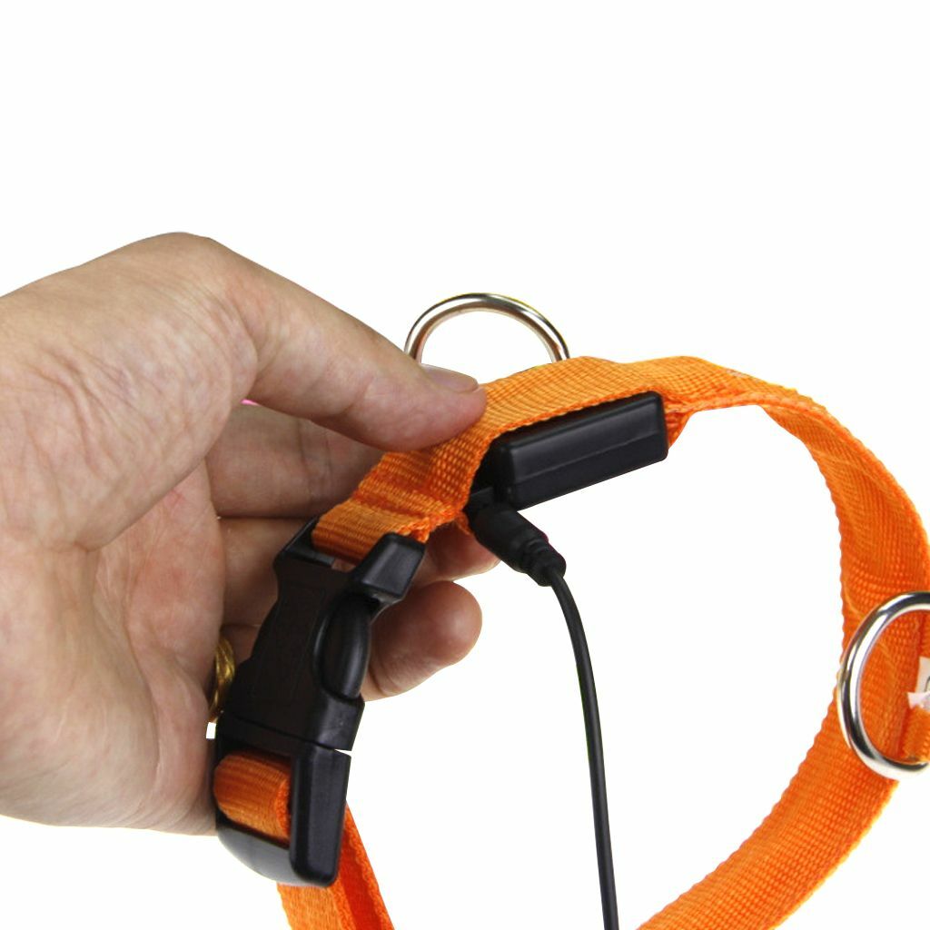 USB Rechargeable LED Dog Pet Light Up Safety Collar Night Glow Adjustable Bright