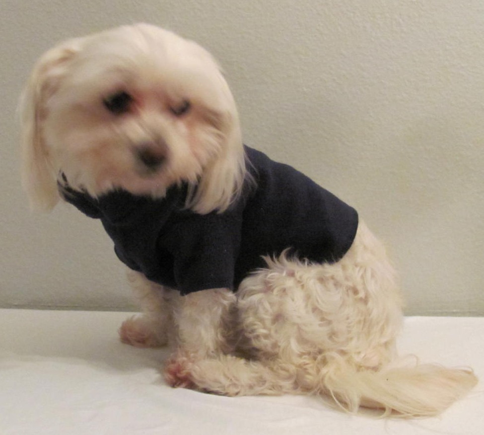 Navy Blue Fleece Short Sleeve Shirt Dog Puppy Teacup Pet Clothes XXXS – Large