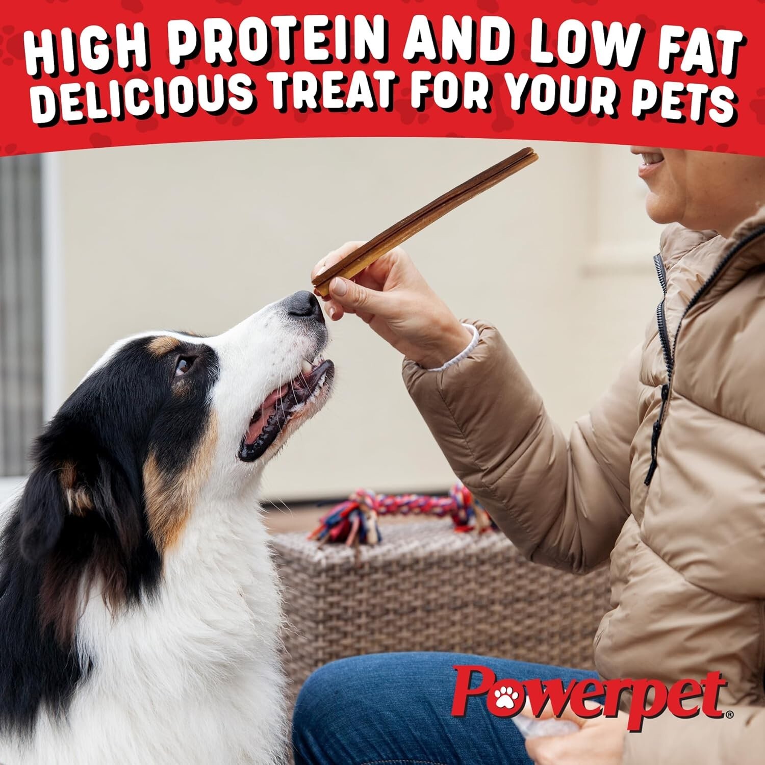 ALL NATURAL Powerpet: Bully Sticks – 12” Standard Bully Sticks- BRC CERTIFIED