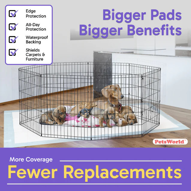 PETSWORLD Premium Extra Large Dog Pee Pads (43″ x 74″)Jumbo Puppy Training Pads