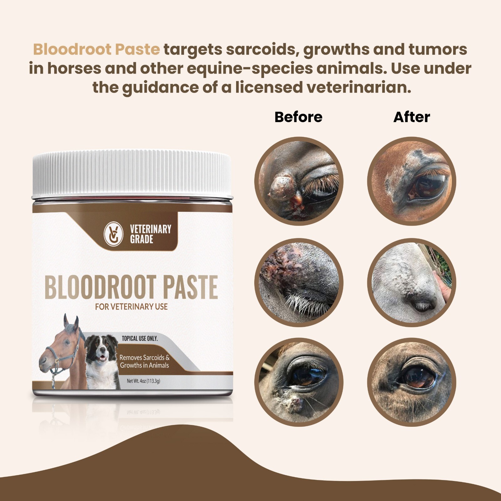 Handmade Bloodroot Paste for Equine Sarcoid-Removal | (4oz) Buy 3 Get 1 Free