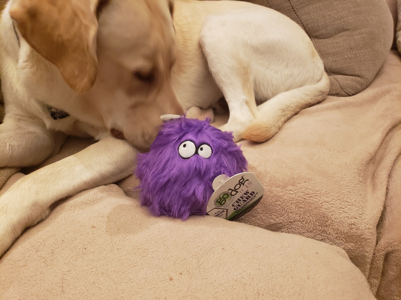 goDog Furballz Small Purple Chew Guard Squeaker Plush Dog Toy 770120