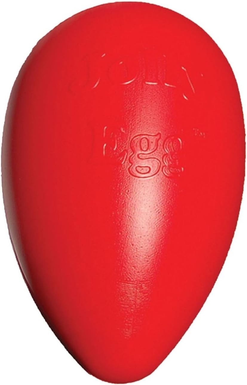 Jolly Pets Egg Red Hard Durable Plastic 12-inch Chase and Play Large Dog Toy