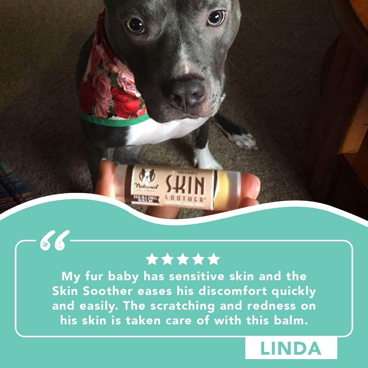 Natural Dog Company Skin Soother All Natural Healing Balm Dogs Relieves NEW