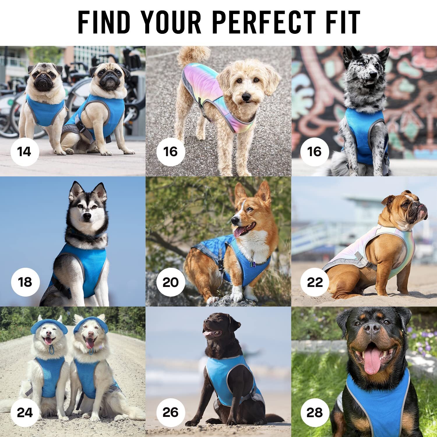 Canada Pooch – Chill Seeker Dog Cooling Vest, Breathable Mesh Material, Aqua, 8